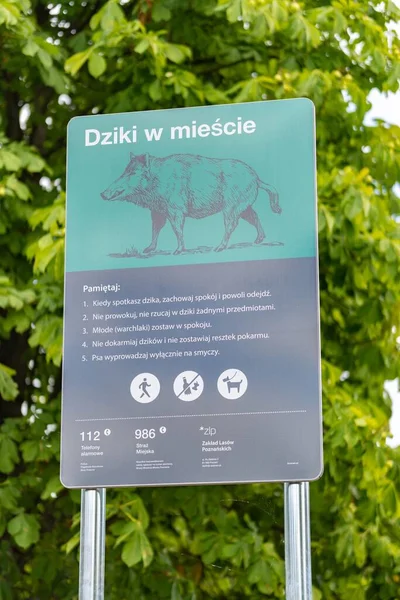 Plan Vertical Panneau Polonais Avertissant Des Porcs Sauvages Entrée Parc — Photo