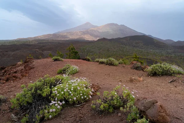 Veduta Aerea Del Monte Teide Nel Parco Nazionale Del Teide — Foto Stock