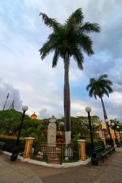 Beautiful View Palm Trees Street Trinidad — Stock Photo, Image