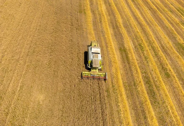 Krajina Kombinovanou Sklizní Pšenice Poli Obilí Zemědělství — Stock fotografie