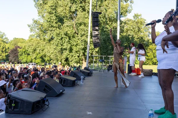 Prospect Park Brooklyn Deki Haziran Kutlamasında Kalabalık Bir Konser — Stok fotoğraf