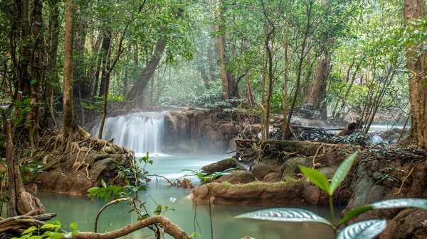 Une Vue Imprenable Sur Une Cascade Contre Une Forêt Profonde — Photo