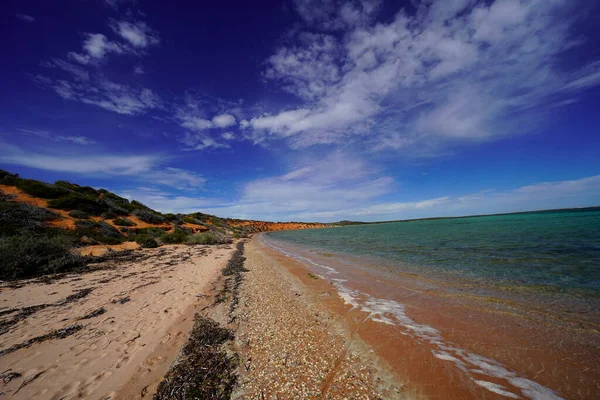 Tepelere Giden Deniz Kıyısının Fotoğrafı — Stok fotoğraf