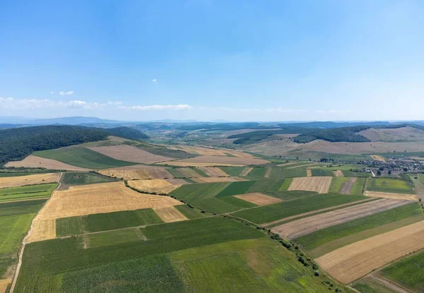 an aerial view of cultivated land, agriculture, land, crop