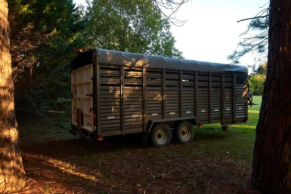 Ein Transportfahrzeug Für Pferde Auf Einem Feld Mit Bäumen Vordergrund — Stockfoto