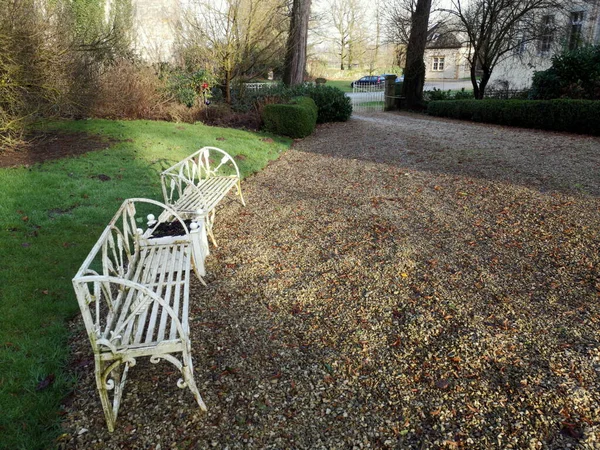 Uitzicht Wit Geschilderde Banken Een Park — Stockfoto