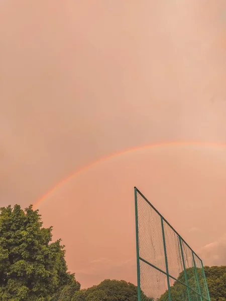 Vacker Bild Regnbågen Bakom Gröna Träd — Stockfoto