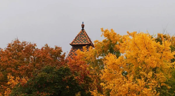 Gri Gökyüzünün Altında Bazı Renkli Sonbahar Ağaçları Bir Pagoda Arka — Stok fotoğraf