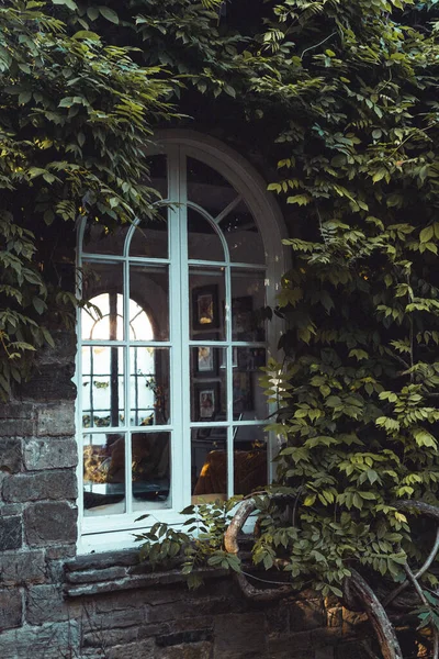 Vertical Shot Vintage Window Surrounded Shrubs Wentworth Historical Garden — Stock Photo, Image