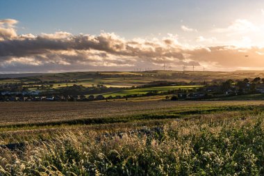 Penistone Village 'da altın saat, tarlalar, tarım, İngiltere, İngiltere