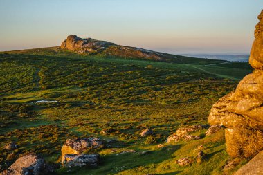 Dartmoor Ulusal Parkı 'ndaki kayalarla çevrili yeşil alan manzarası.