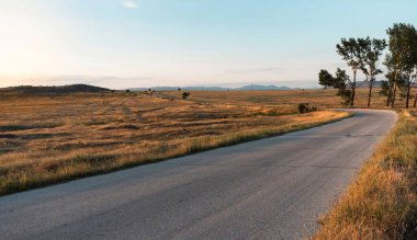 Saf mavi gökyüzünün olduğu güneşli bir günde kurumuş bir çayırın etrafında bir yol.