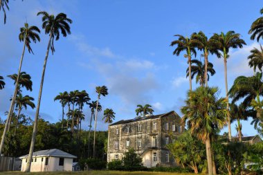 Palmiye ağaçlarıyla çevrili güzel bir otel manzarası.