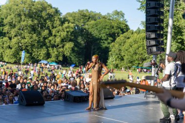 A crowded concert at the 13th Annual Juneteenth celebration in Prospect Park Brooklyn clipart