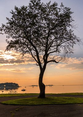 Norwalk, Connecticut 'ta turuncu günbatımında göl kenarında güzel bir ağaç manzarası.
