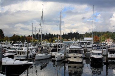 Coal Harbour, Vancouver, British Columbia, Kanada 'daki yatlar ve yelkenliler.