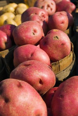 Markette bir sepette duran kırmızı patateslerin dikey çekimi.