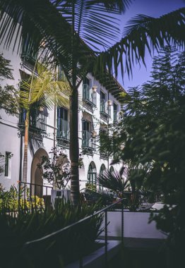 Arka planda beyaz bir otel olan bir palmiye ağacının alçak açılı görüntüsü.