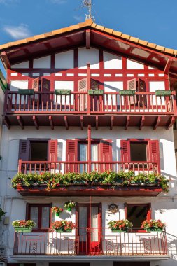 Hondarribia, İspanya 'daki balkonlarda yeşil bitkilerle dolu güzel bir evin dikey görüntüsü.