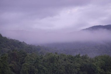 Bulutlu bir gökyüzünün altında, sislerin arkasında yeşil bir orman dağı.