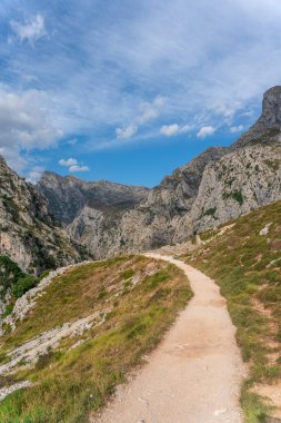 Arka planda güzel dağlar olan bir arazideki patikanın dikey görüntüsü.