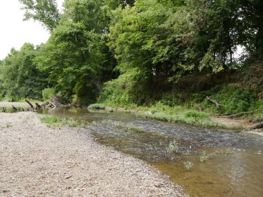 Missouri kırsalında akan bir derenin manzarası.