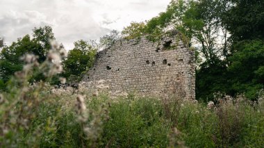 Bitki örtüsü ve doğa ile çevrili eski hasarlı tuğla bir duvar.