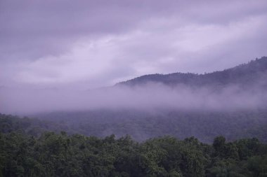 Bulutlu bir gökyüzünün altında, sislerin arkasında yeşil bir orman dağı.