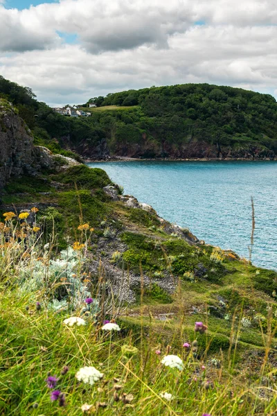 Devon 'daki yeşil tepelerle çevrili zümrüt suyun dikey görüntüsü.