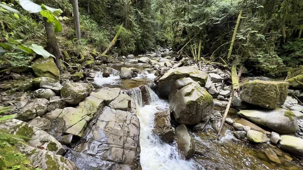 森の中の岩を流れる滝の景色 — ストック写真