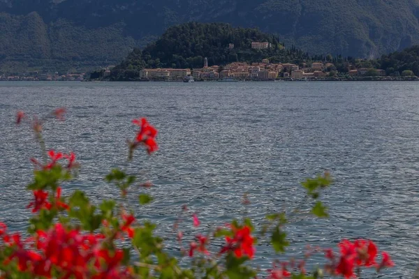 イタリアのコモ湖の背景にある建物と前景の赤い花をぼかす — ストック写真