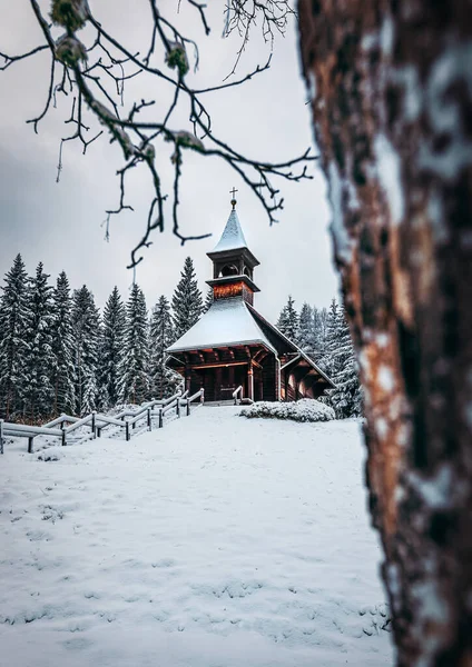 Een Verticaal Shot Van Een Oeroude Kerk Het Bos Winter — Stockfoto