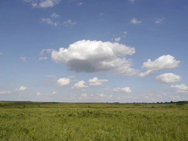 The open prairie with puffy clouds and blue sky in Missouri. summertime.
