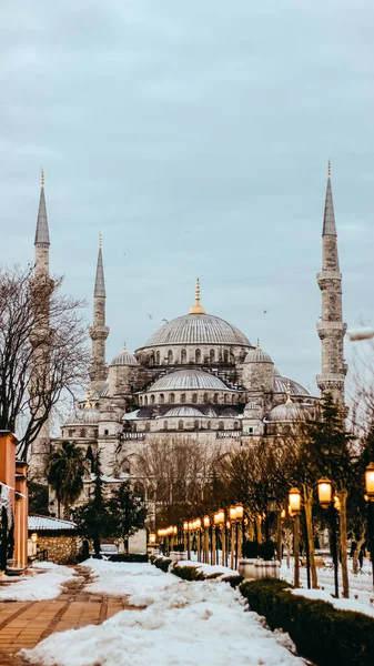 Uma Foto Vertical Uma Bela Mesquita Azul Istambul Durante Inverno — Fotografia de Stock
