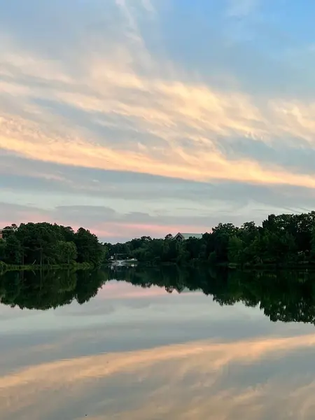 Vertical Shot Lake Reflecting Green Trees Beautiful Sunset — Stock Photo, Image