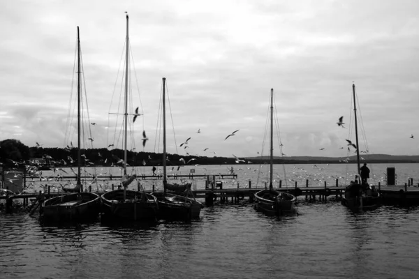 Graustufen Von Booten Die Einem Düsteren Tag Pier Eines Sees — Stockfoto