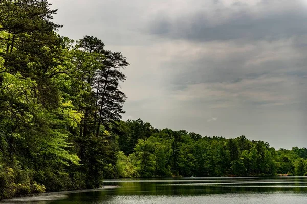 Lago Rodeado Por Árvores Verdes Num Dia Nublado — Fotografia de Stock