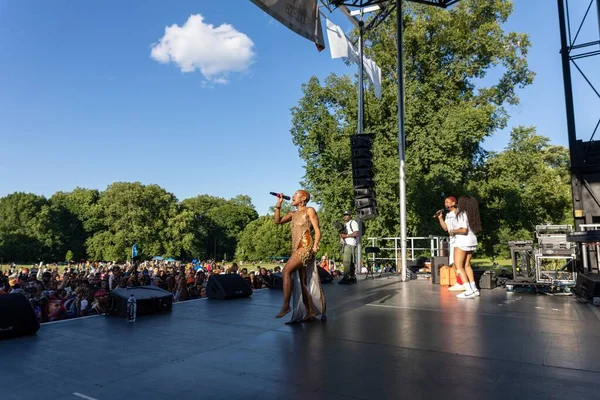 Crowded Concert 13Th Annual Juneteenth Celebration Prospect Park Brooklyn — Stock Photo, Image
