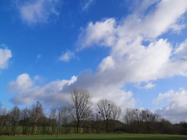 Ряд Голих Дерев Зеленому Полі Під Хмарним Небом — стокове фото