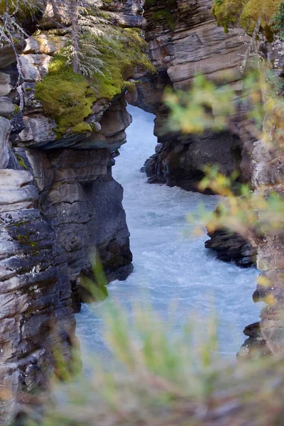Вертикальний Знімок Скель Річці Вдень — стокове фото