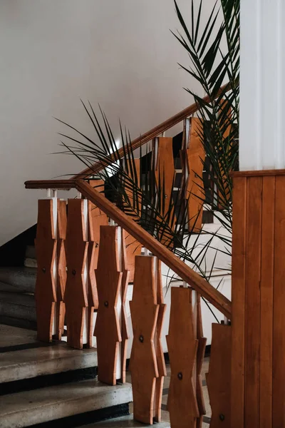 木製の手すりの垂直ショット ヤシの植物園 — ストック写真