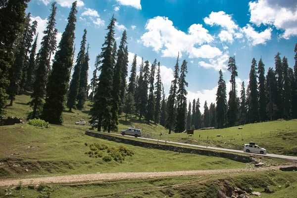 Pemandangan Indah Dari Hutan Coniferous Pegunungan Dengan Mobil Hari Yang — Stok Foto