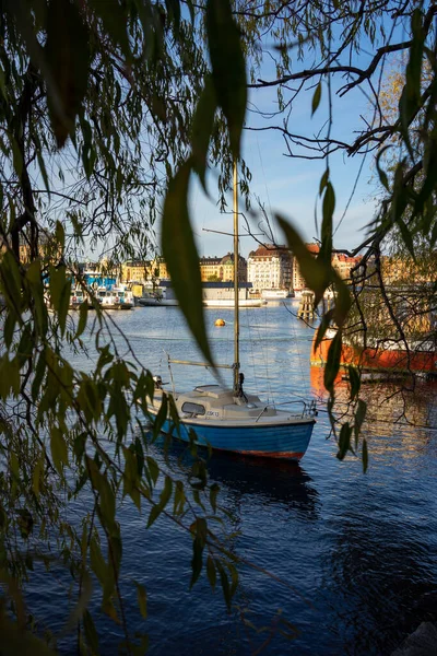 柳の枝から見た舟の垂直ショット — ストック写真