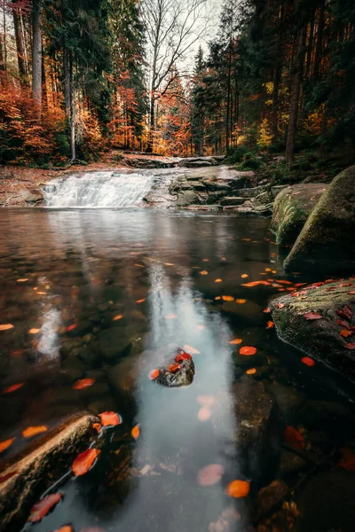 Ένας Μικρός Καταρράκτης Ένα Δάσος Φθινόπωρο — Φωτογραφία Αρχείου