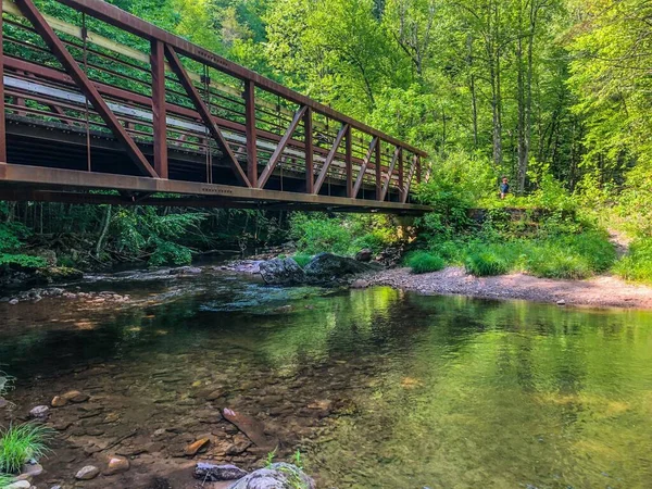 Appalachian Dağlarının Güneyindeki Sakin Şeffaf Derede Eski Bir Köprü — Stok fotoğraf
