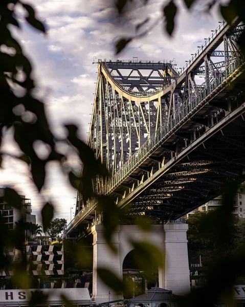Een Spoorweg Brug Achter Boom Takken Brisbane — Stockfoto
