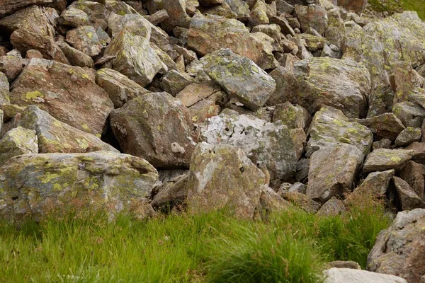 Ένα Πράσινο Γρασίδι Που Φυτρώνει Ένα Μεγάλο Σωρό Βράχων — Φωτογραφία Αρχείου