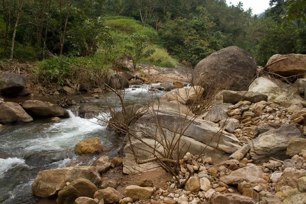 インドの西端にある森の中に流れる美しい岩の流れ — ストック写真