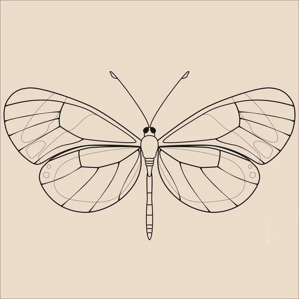 Mariposa Vintage Ilustración Para Tatto — Foto de Stock