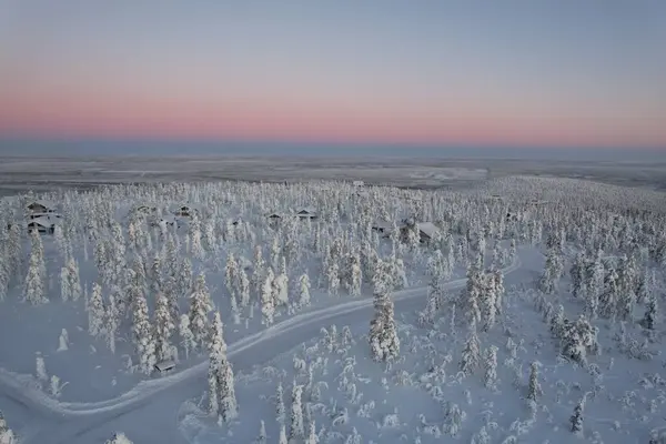 Вид Повітря Красиву Зимову Сцену Засніженими Деревами Захід Сонця — стокове фото